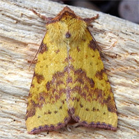 200
